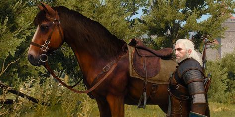 witcher 3 what horse to pick|The Witcher 3: Wild Hunt [ACT 1 NOVIGRAD] Broken Flowers .